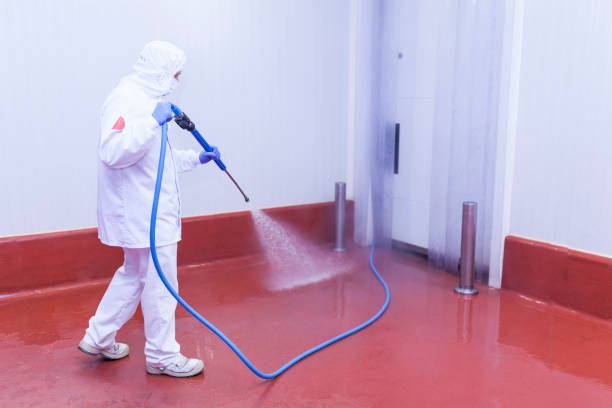 Best Pre-Holiday Cleaning  in Joplin, MO