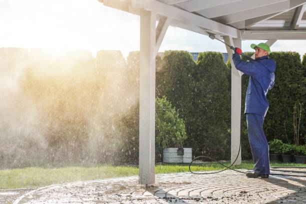 Best Sidewalk and Walkway Cleaning  in Joplin, MO