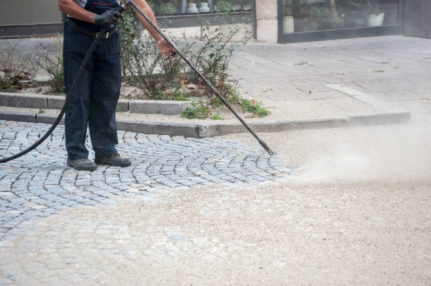 Best Driveway Pressure Washing  in Joplin, MO